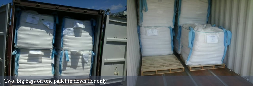 Donec ultricies porta sodales