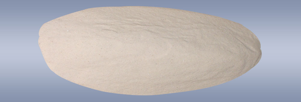 Proin euismod ultrices enim