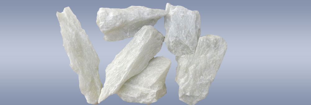 Donec ultricies porta sodales