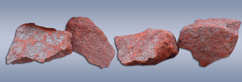 Proin euismod ultrices enim