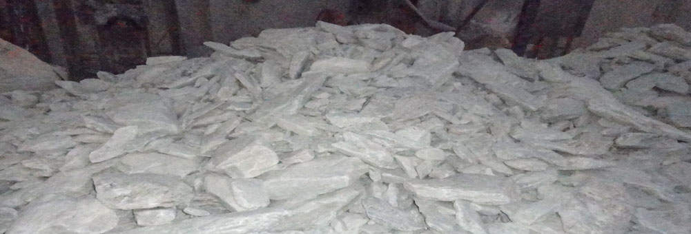 Donec ultricies porta sodales