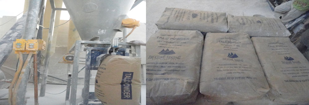 Proin euismod ultrices enim